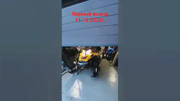 Снегоход Скандик 💪💪💪
