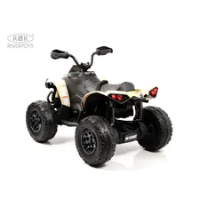 Полноприводный электроквадроцикл BRP Can-Am Renegade (Y333YY) хаки